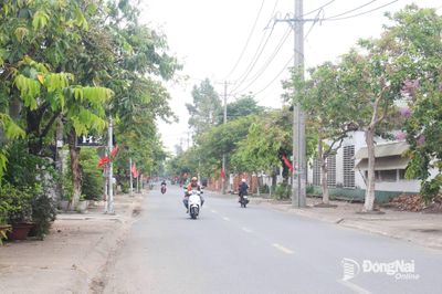 Mỗi ngôi nhà xanh góp phần xây dựng một đô thị xanh