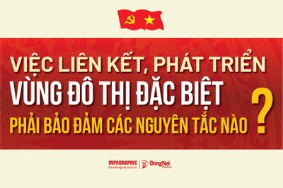 [Infographic] Việc liên kết, phát triển vùng đô thị đặc biệt phải bảo đảm các nguyên tắc nào?