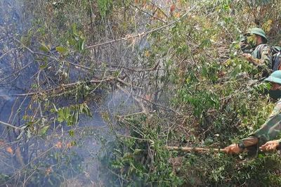 Gia Lai chủ động phòng cháy rừng trước nguy cơ El Nino kéo dài