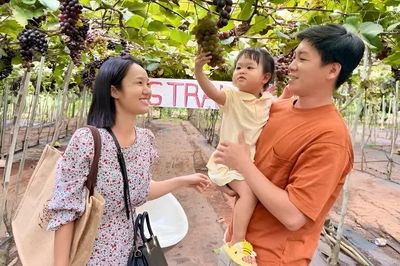 Từ vườn nho hữu cơ đến điểm hẹn du lịch nông nghiệp