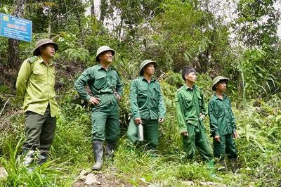 Người lan tỏa phong trào bảo vệ rừng ở Tà Dông