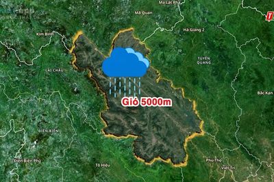 Dự báo thời tiết ngày 29/8