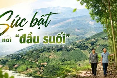 Sức bật nơi “đầu suối”