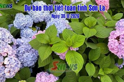 Dự báo thời tiết toàn tỉnh Sơn La ngày 30/8/2026