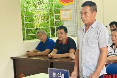 Xét xử lưu động 2 vụ án 'Đánh bạc' và 'Vi phạm quy định về khai thác, bảo vệ rừng' tại xã Bạch Đằng