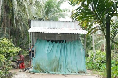 Nghi án chồng đâm vợ tử vong rồi trèo lên ngọn dừa lẩn trốn, ngã xuống trọng thương