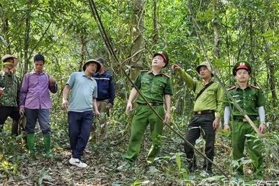 Đắk Lắk triển khai biện pháp cấp bách phòng cháy, chữa cháy rừng giữa nắng nóng kéo dài