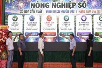 Dang Kang thành lập Hợp tác xã Nông nghiệp số, đẩy mạnh mã số cho vùng trồng sầu riêng