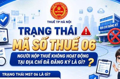 Làm sạch mã số thuế: Cảnh báo doanh nghiệp không hoạt động tại địa chỉ đăng ký