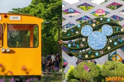 Khám phá Singapore dịp nghỉ lễ: Sáng đi rừng, chiều ăn ngon, tối chơi cùng Disney