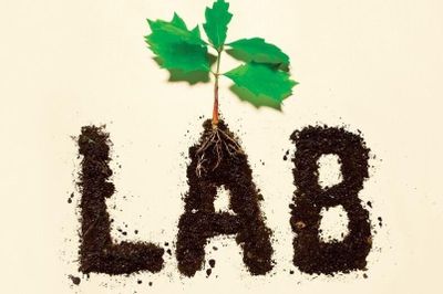 Những câu chuyện phía sau phòng thí nghiệm