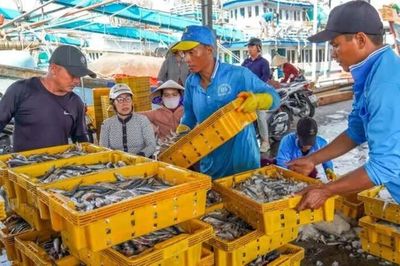 Tháo gỡ vướng mắc trong cấp Giấy chứng nhận an toàn thực phẩm với cảng cá công lập