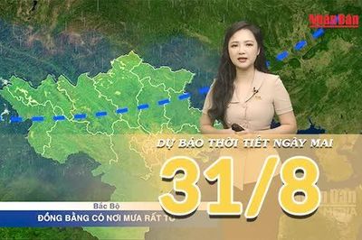 [Video] Dự báo thời tiết đêm nay và ngày mai 31/8/2026: Mưa gia tăng ở Bắc Bộ, Trung Bộ thời tiết phân hóa rõ rệt