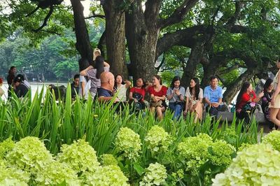 Cẩm tú cầu xanh thu hút người dân, du khách tại hồ Hoàn Kiếm dịp lễ 2-9