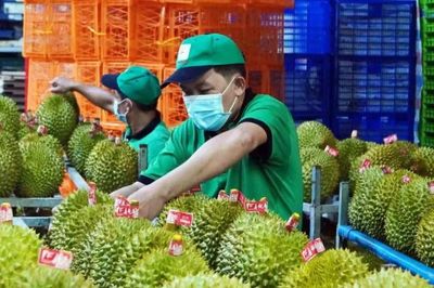 [VIDEO] Trung Quốc cấp phép hơn 400 vùng trồng sầu riêng cho Việt Nam