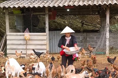 Giảm nghèo bền vững, tạo động lực phát triển vùng dân tộc thiểu số Phú Thọ