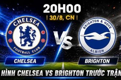 Nhận định, dự đoán trận đấu Chelsea vs Brighton: 'Chim mòng biển' tung cánh tại Stamford Bridge?