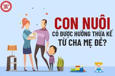 Rạch ròi hệ quả pháp lý trong nuôi con nuôi - không còn 'thỏa thuận tùy nghi'