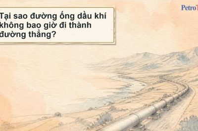 [VIDEO] Vì sao đường ống dầu khí không bao giờ đi thành đường thẳng?