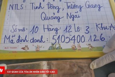 Tìm thấy chiếc ví da trong mộ liệt sĩ ở Quảng Ngãi