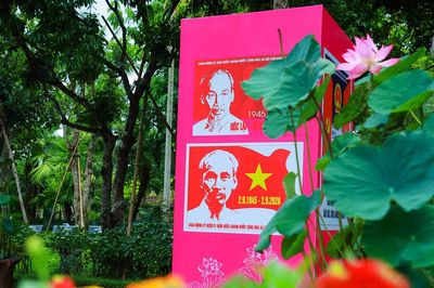 Quốc khánh đặc biệt ở Làng Sen