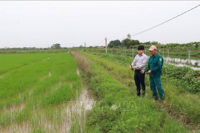 Nông dân 'nghĩ khác, làm khác', hình thành nhiều mô hình sản xuất hiệu quả