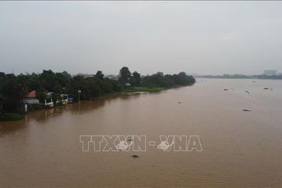 Cảnh báo lũ trên sông Đồng Nai nguy cơ gây ngập lụt vùng trũng, thấp và sạt lở bờ sông