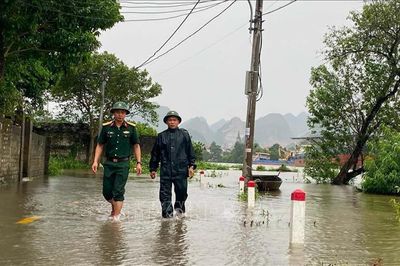 Ninh Bình chủ động ứng phó mưa lớn, lũ, ngập lụt