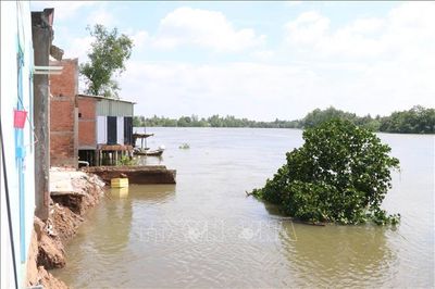 Tây Ninh kiến nghị hỗ trợ gần 2.200 tỷ đồng chống sạt lở