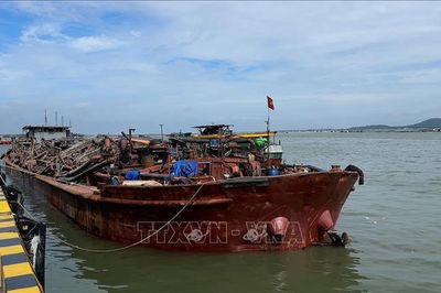 Bắt giữ tàu chở cát không rõ nguồn gốc trên vùng biển Cần Giờ