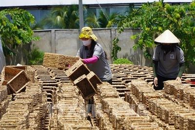 Luật Phát triển doanh nghiệp nhỏ và vừa: Chuyển đổi tư duy từ 'hỗ trợ' sang 'kiến tạo'