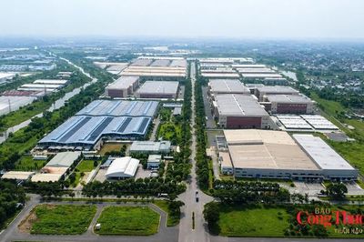 TP. Hồ Chí Minh 'vẽ' lại bản đồ khu công nghiệp thế hệ mới