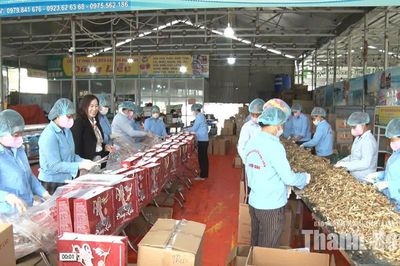 Nông dân đổi mới tư duy, vươn lên làm chủ doanh nghiệp