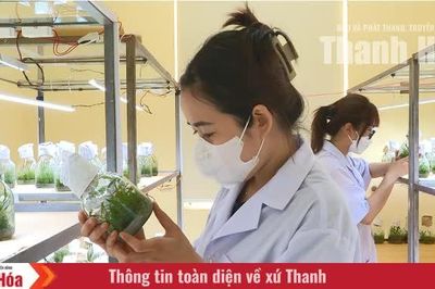 Khoa học chạm đời sống