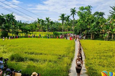 Độc đáo trình diễn thời trang mo cau