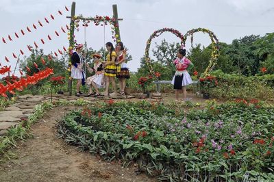 Tết Độc lập trên mảnh đất anh hùng