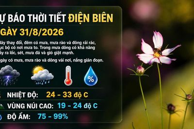 Bản tin Dự báo thời tiết ngày 31/8/2026