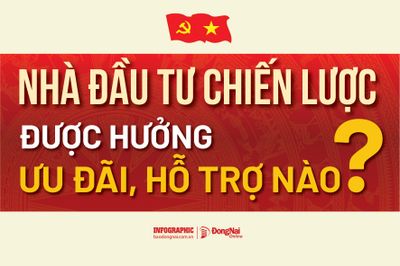 [Infographic] Luật Phát triển đô thị: Nhà đầu tư chiến lược được hưởng ưu đãi, hỗ trợ nào?