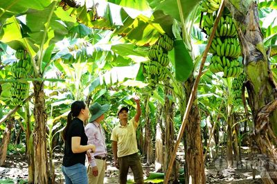 Dựng xây nếp sống mới