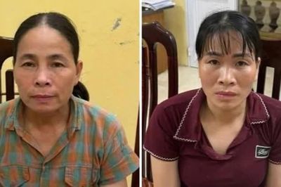 Sử dụng tài liệu giả của cơ quan, tổ chức để vay, mượn tiền và tài sản của nhiều người
