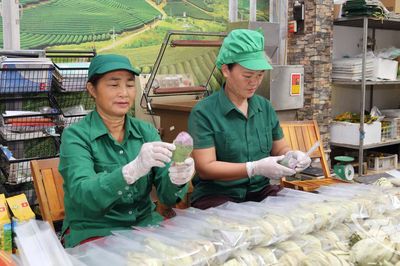 Chắp cánh vị 'ngọt hậu' trà Thái bằng tư duy 4.0