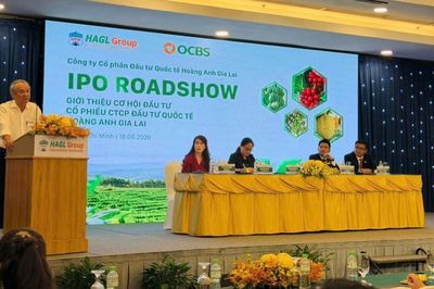 HAGL chuyển nhượng gần 15 triệu cổ phần HGI với giá thấp hơn IPO