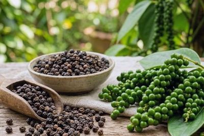 Hồ tiêu Việt Nam: Từ lợi thế sản lượng đến cuộc chơi giá trị