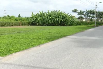 Hàng trăm thửa đất sắp được đưa ra đấu giá tại nhiều địa phương