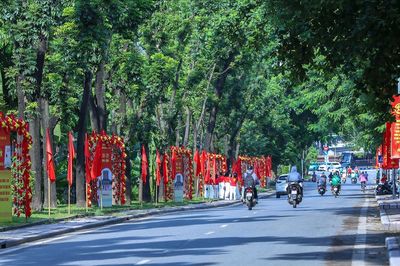 Hà Nội rực rỡ cờ hoa dịp Tết Độc lập