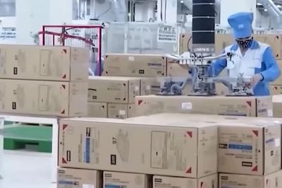 Lao động ở lại nước ngoài trái phép phạt 100 triệu