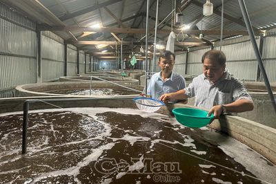 Năm Căn nâng tầm thương hiệu con giống thuỷ sản