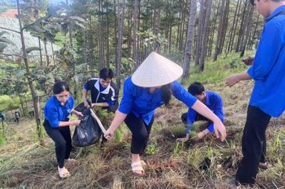 Thanh niên Lâm Đồng là lực lượng xung kích trong chuyển đổi số và phát triển nông nghiệp xanh