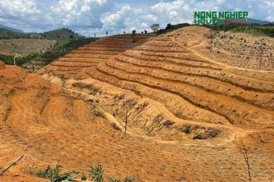 Lâm Đồng kiến nghị tháo gỡ những vướng mắc trong quản lý nông nghiệp, đất đai và môi trường