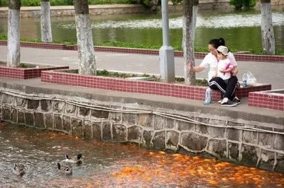 Ngay cả 'thủ phủ sinh đẻ' của Trung Quốc cũng không thể ngăn đà giảm tỷ lệ sinh